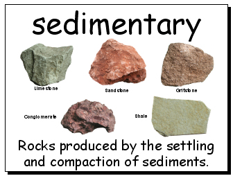 Science Wordwalls (Year 8)